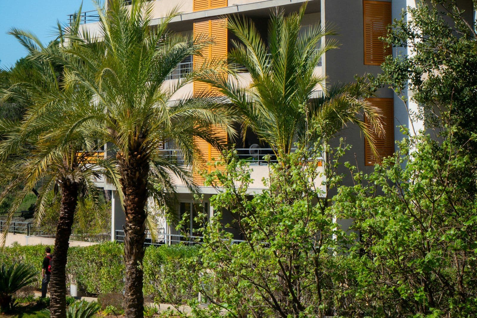 One of the Palm Court units, among the palms