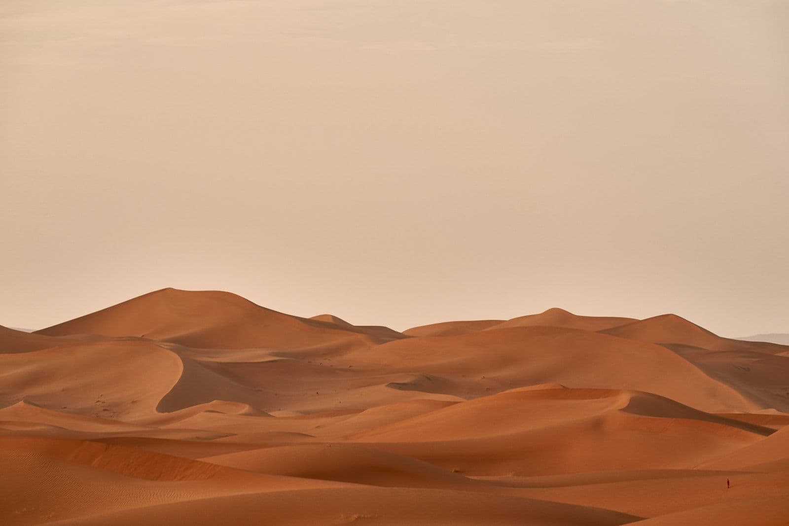 The plot and its surroundings